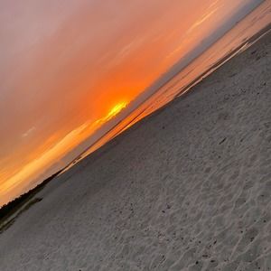 Meet your Posher, Brock